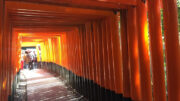 fushimi inari shrine