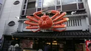 japan crab restaurant