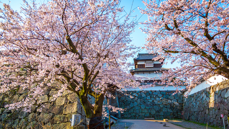 Maizuru park