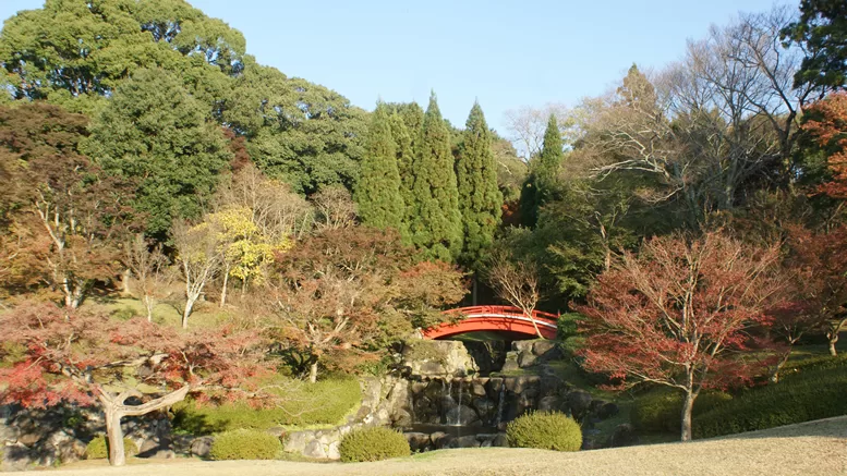 Nara Park