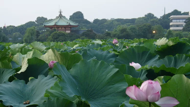 Ueno Park