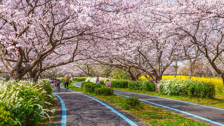 Uminonakamichi Seaside Park