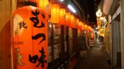 Yakitori Alley Lanterns Yurakucho